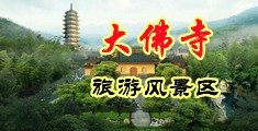 免费观看欧美大片大毛99视频中国浙江-新昌大佛寺旅游风景区